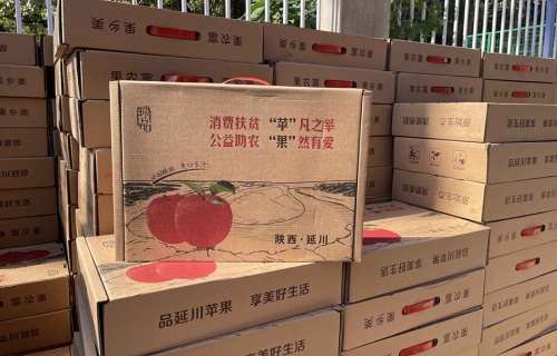 赏金女王“扶贫助农，振兴乡村”活动
